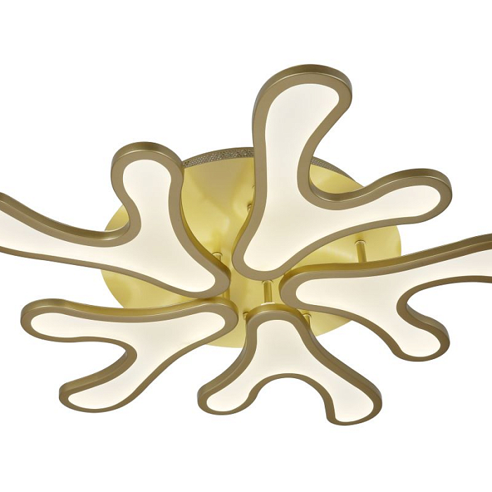  2079/03/05C